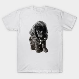 English Cocker Spaniel Black Puppy Dog - Adorable! T-Shirt